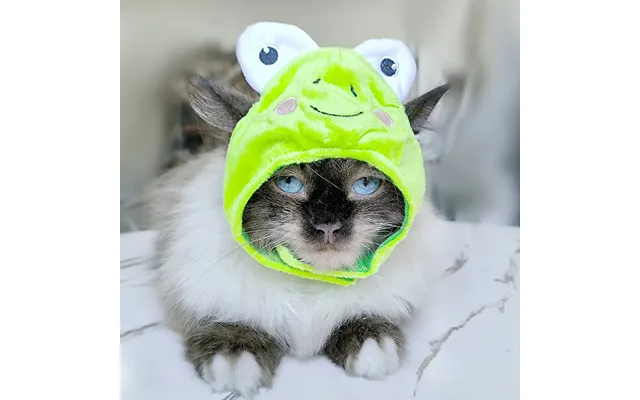 Pet Headgear Cute Dog Teddy Dress Up Sunflower Cat Headdress Wig Cat Headgear Hat - Frog Average Size