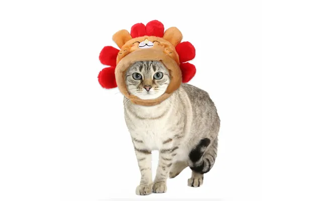 Pet Headgear Cute Dog Teddy Dress Up Sunflower Cat Headdress Wig Cat Headgear Hat - Hedgehog Cap Average Size