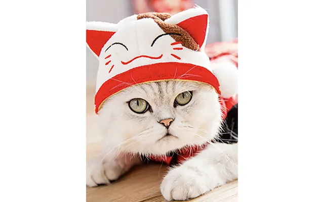 Pet Headgear Cute Dog Teddy Dress Up Sunflower Cat Headdress Wig Cat Headgear Hat - Lucky Cat Average Size