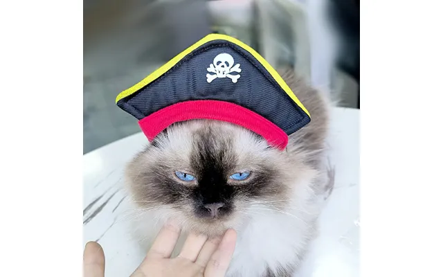 Pet Headgear Cute Dog Teddy Dress Up Sunflower Cat Headdress Wig Cat Headgear Hat - Pirate Hat Average Size