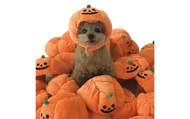 Pet Headgear Cute Dog Teddy Dress Up Sunflower Cat Headdress Wig Cat Headgear Hat - Pumpkin Hat Average Size