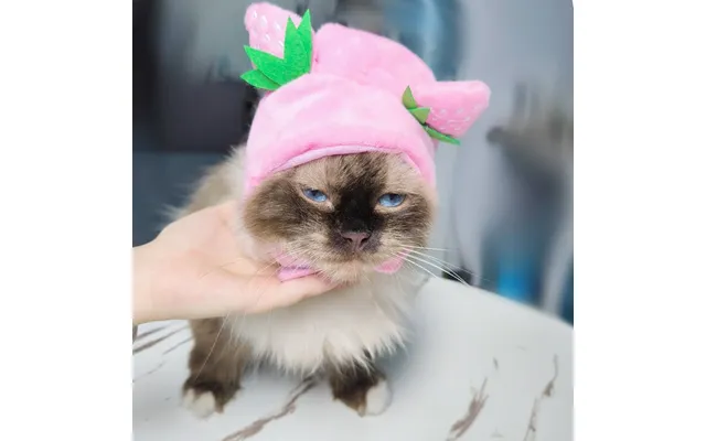 Pet Headgear Cute Dog Teddy Dress Up Sunflower Cat Headdress Wig Cat Headgear Hat - Strawberry Cap Average Size