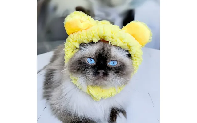 Pet Headgear Cute Dog Teddy Dress Up Sunflower Cat Headdress Wig Cat Headgear Hat - Yellow Average Size