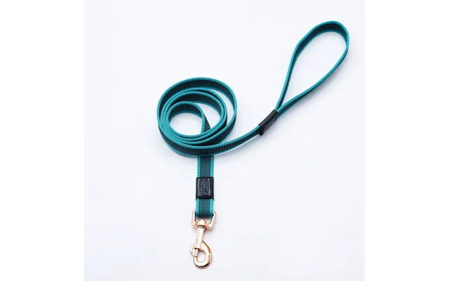 Pet Supplies Non-slip Traction Rope Golden Retriever Training Walking Dog Rope Extension - Green Width 2cm 2m