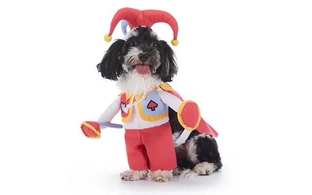 Pet Supplies Wansheng Dog Clothes - Pf97 Red Peach Clown M
