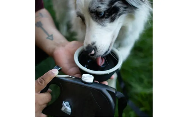 Pet Traction Rope Kettle Trash Bag - Black
