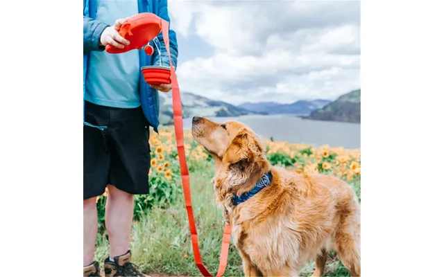 Pet Traction Rope Kettle Trash Bag - Red