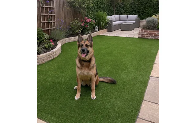 Pet-friendly Artificial Grass For Dog Areas & Kennels - 20m