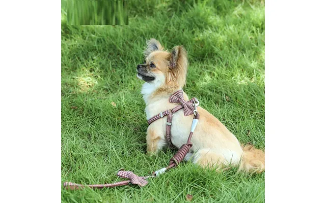 Small And Medium-sized Leash Pet Dog Supplies - Coffee 1.5m