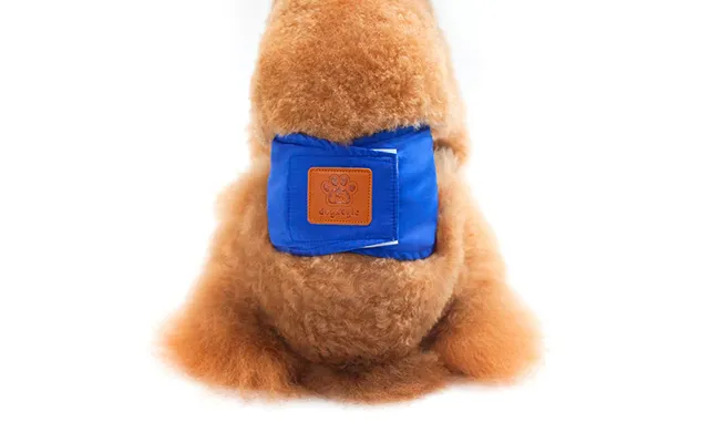 Solid Color Physiology Pants For Pet Male Dogs, Polite And Anti-harassment Puppy Safety Pants - Blue M