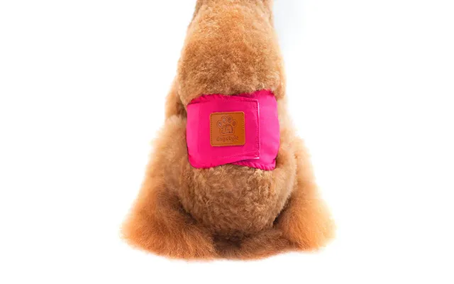 Solid Color Physiology Pants For Pet Male Dogs, Polite And Anti-harassment Puppy Safety Pants - Red Xl