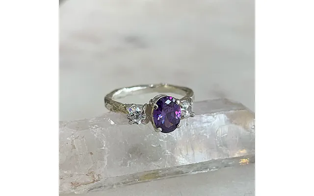 The Amethyst Princess - H