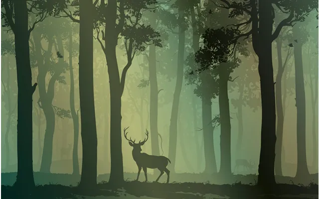 Deciduous Forest With Birds And Deer Splashback - Custom Size