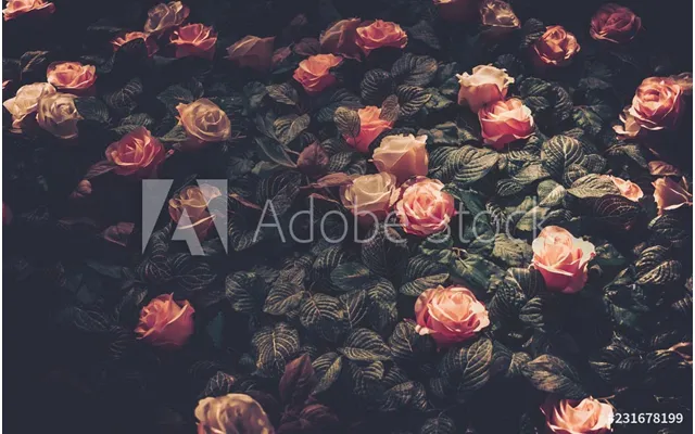 Rose Bush Splashback - Custom Size