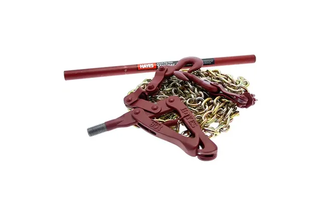Hayes H406 Clamp Strainer