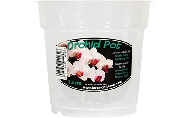 Clear Orchid Pots