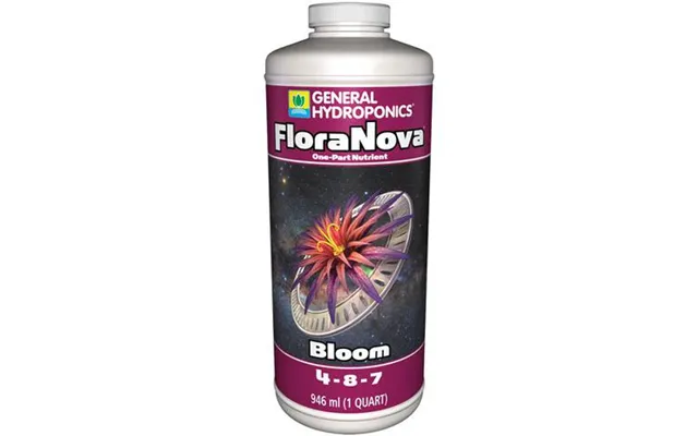 Ghe Flora Nova Bloom