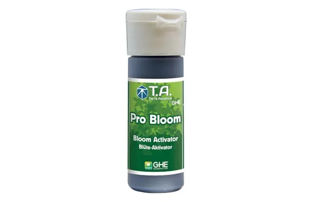 Ghe Pro Bloom