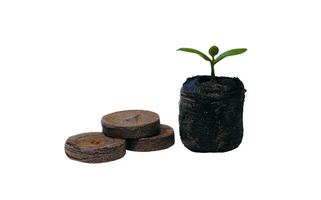 Jiffy-7 41mm Peat Plug