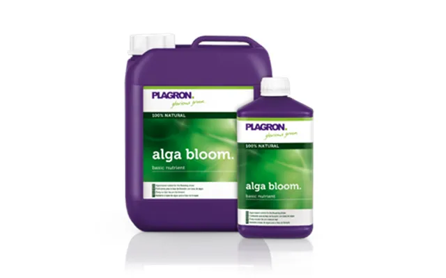 Plagron Alga Bloom
