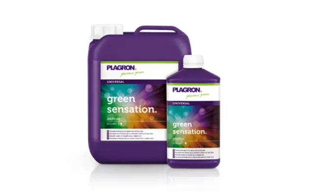Plagron Green Sensation