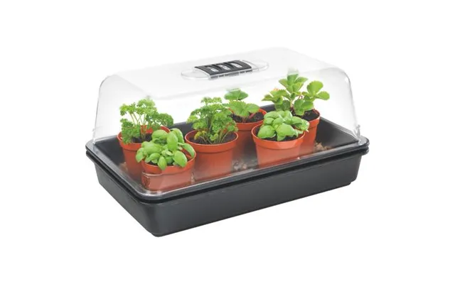 Stewart Medium Heated Propagator 38cm X 24cm X 21.5cm