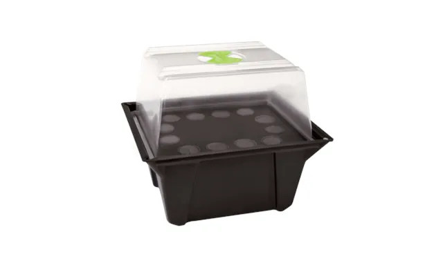 X Stream Propagator