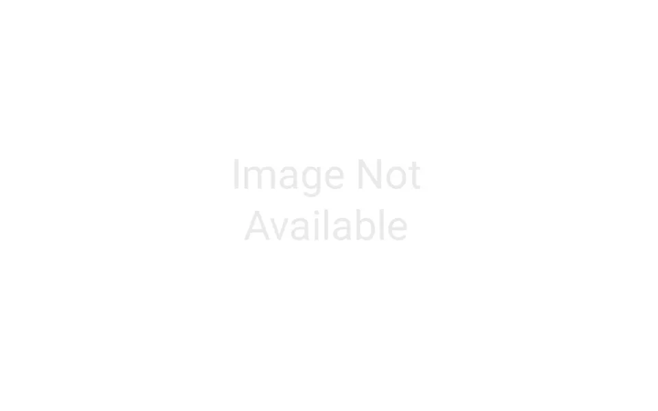 2-way Connector 150mm Wire Pack Of 5 For 12mm Ip20 Rgbw Strips Integral Led