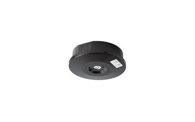 Salvus Round Emergency Surface Spotlight Black Collingwood