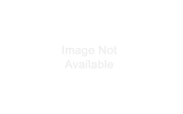 Suspension Kit Pack Of 2 Units Collingwood