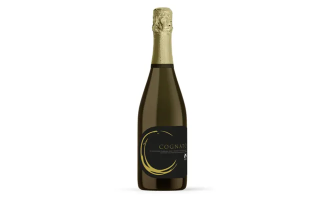 Cognato Sparkling White Alcohol Free Wine - Single Bottle