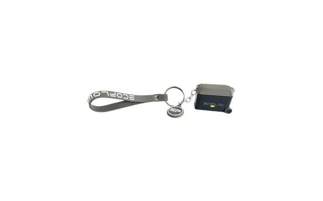 Ecoflow Keychain - Delta Pro