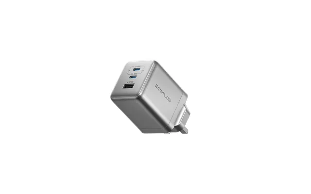 Ecoflow Rapid Pro Charger 100w - 3 Ports