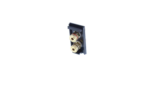 Black 2 Speaker Binding Post Em-euro Module