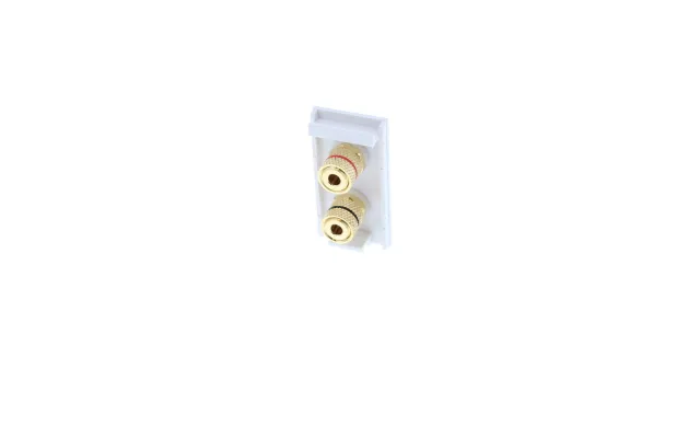 White 2 Speaker Binding Post Em-euro Module