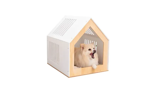 Modern Indoor Dog House