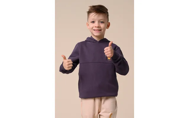 Enorsia Boys Brown Embrodiery Print Hoodie 6yrs-11yrs - Uk 9 Yrs