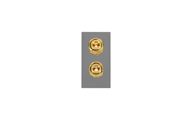 Click New Media Twin Loud Speaker Module Grey