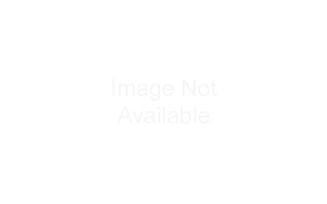 Falcon Trunking 20mm Inspection Tee Black Single Only