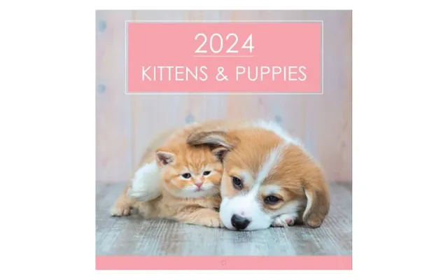 2024 Kittens & Puppies Square Calendar 28cm X 28cm