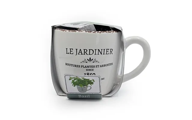 Grow Your Own Basil Set In Ceramic Pot