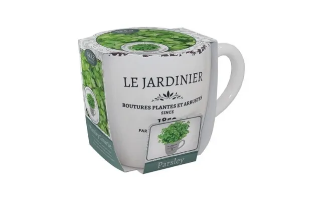Grow Your Own Parsley Set In Ceramic Pot