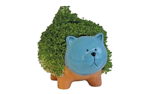 Happy Gardens Grow A Pet Cleo The Cat