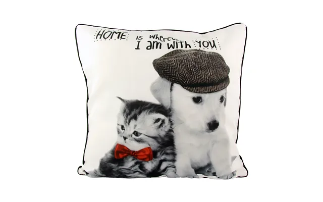 Kitten And Puppy Motif Cushion