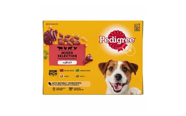 Pedigree Mixed Selection In Jelly Dog Food Pouches 12x100g