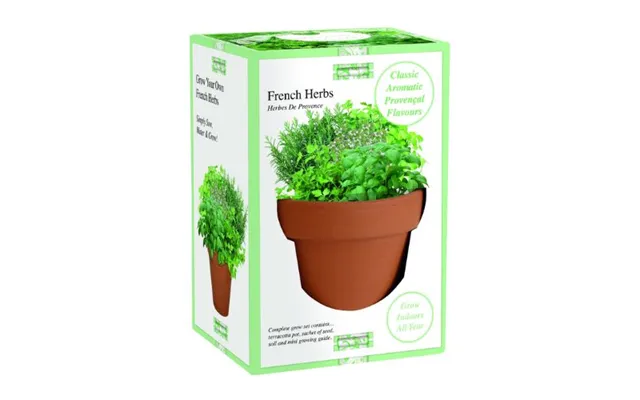 Terracotta Planter Grow Set Assorted Herbs - French Herbs