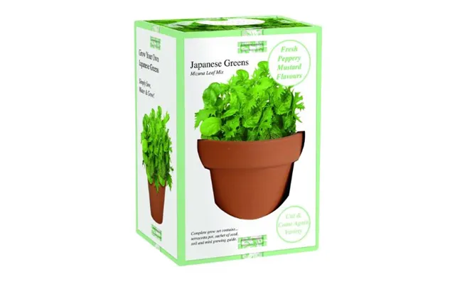 Terracotta Planter Grow Set Assorted Herbs - Japanese Greens