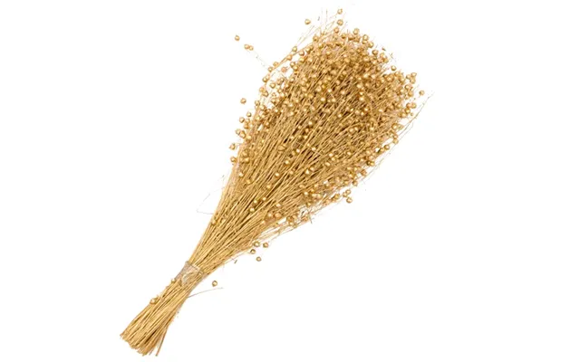 Tissi Grass Dried Stems Bunch 46cm Assorted Colours - Gold