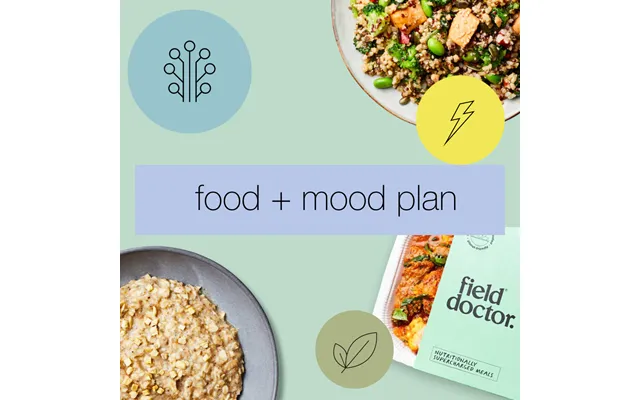 Food Mood Plan