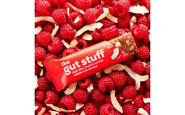 High Fibre Raspberry Coconut Bar
